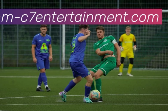 c7娱乐平台生态图